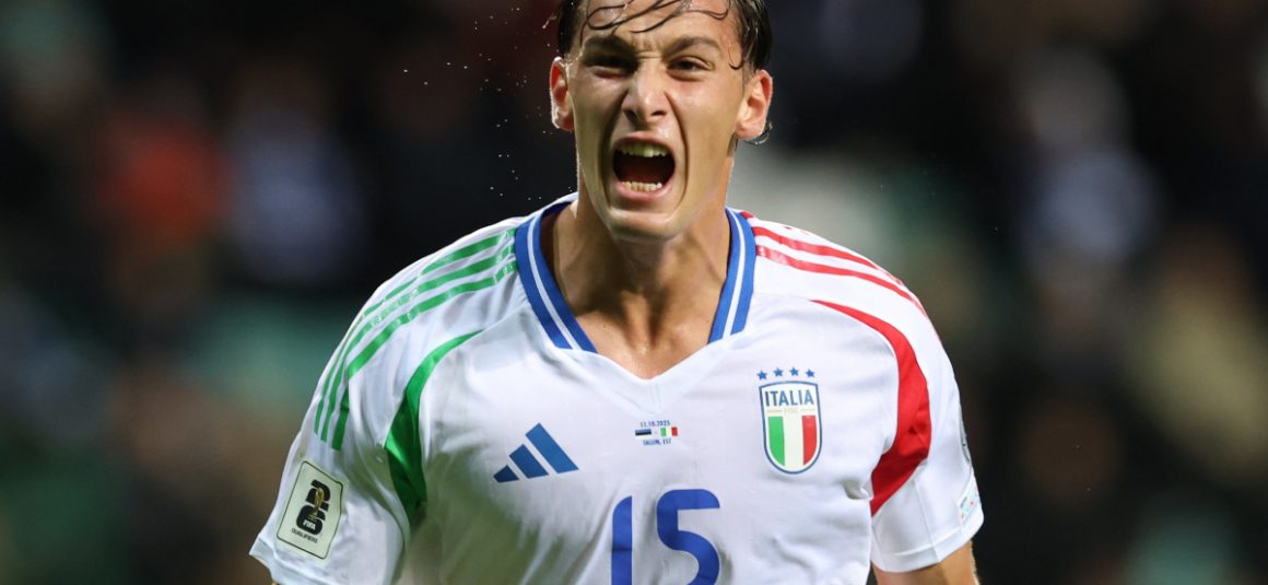 Wildcard Contenders:…