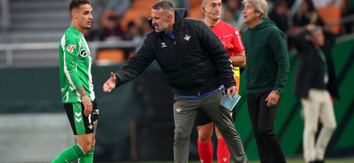 Antony Red Antony Red