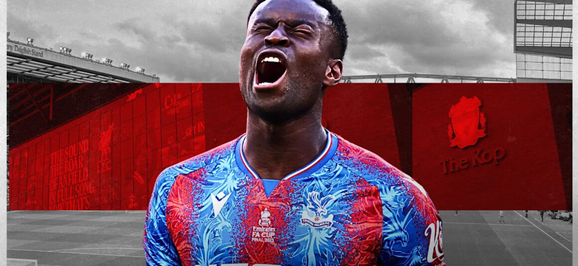 Liverpool Could Sign…