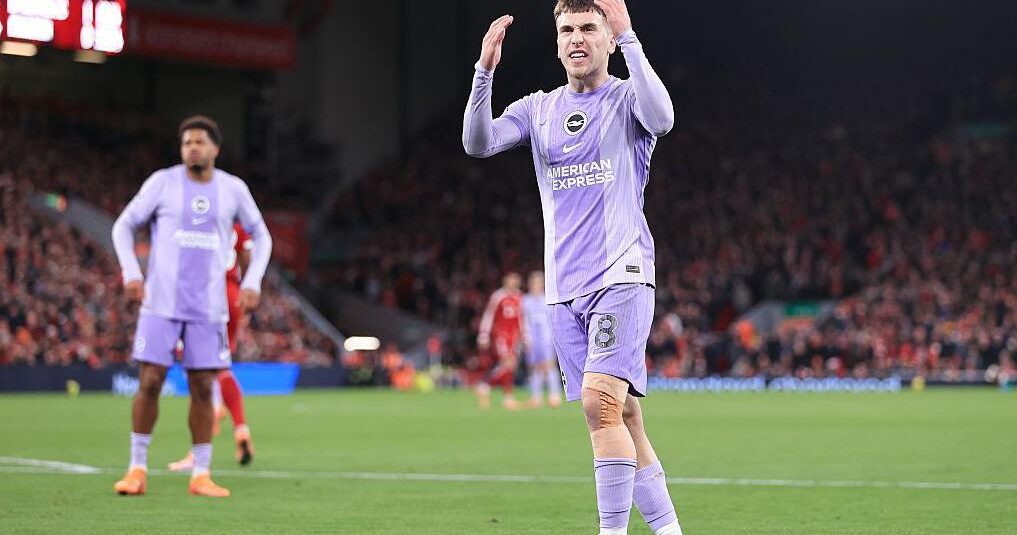 Brighton Analysis:…