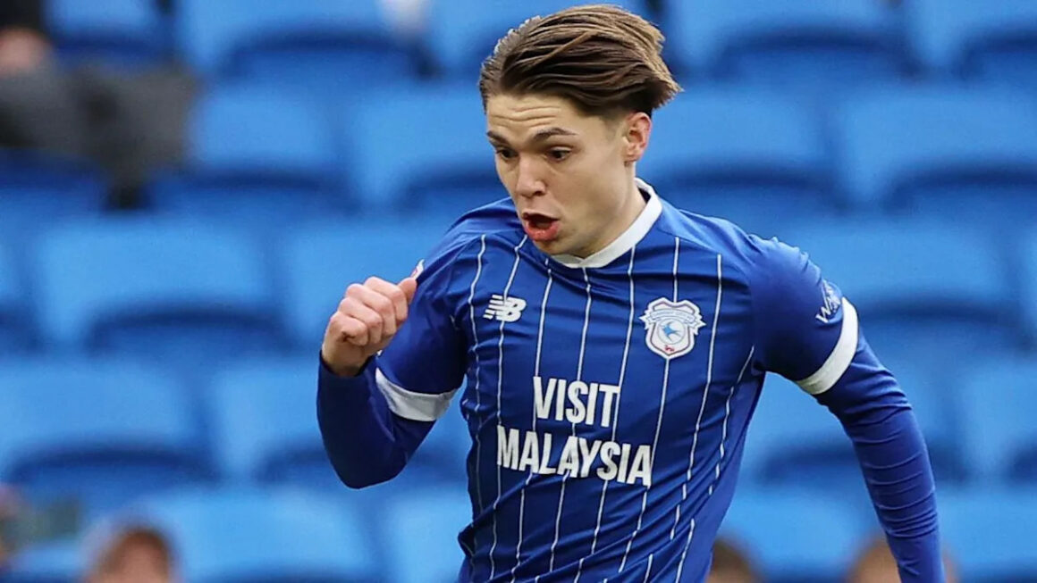 Ashford carried Cardiff…