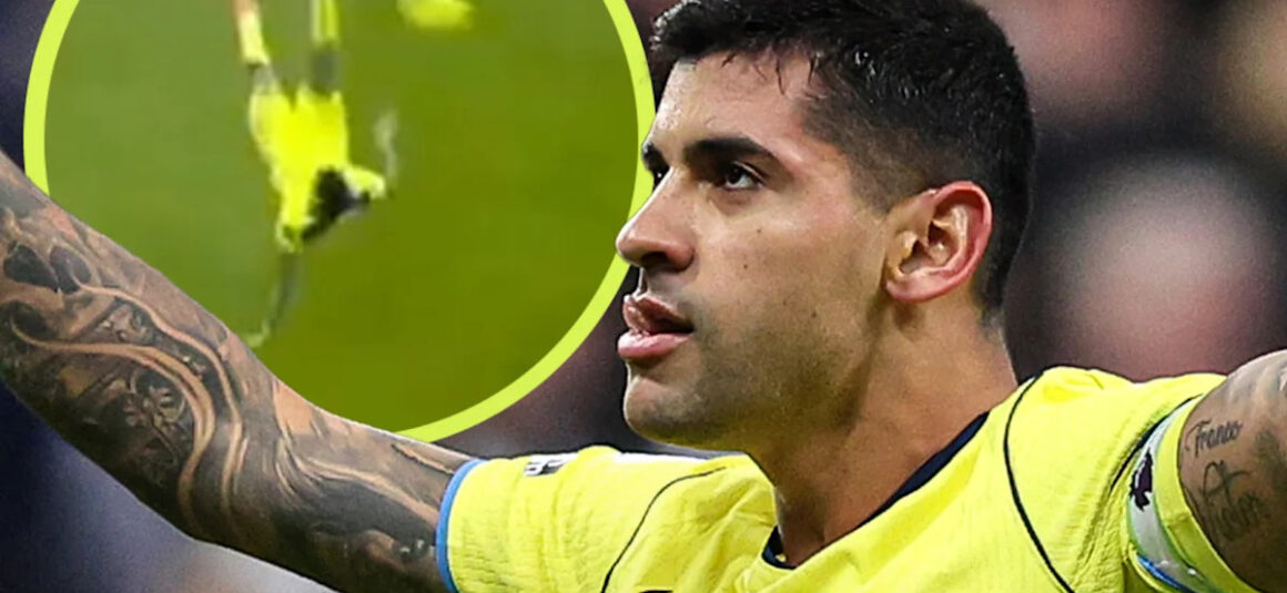 📸 The 10 Wildest…