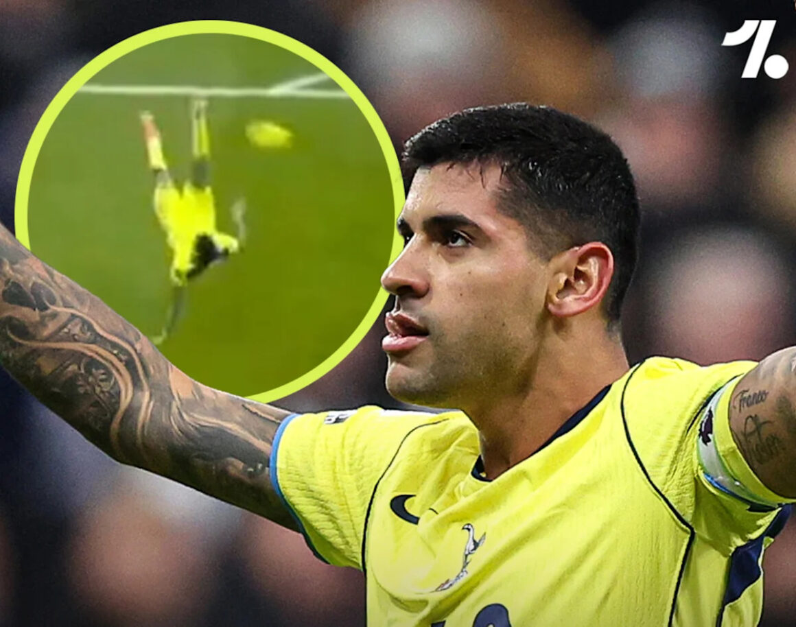 📸 The 10 Wildest…