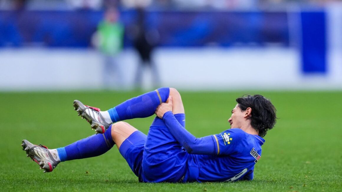 Minamino Tears ACL, WC…