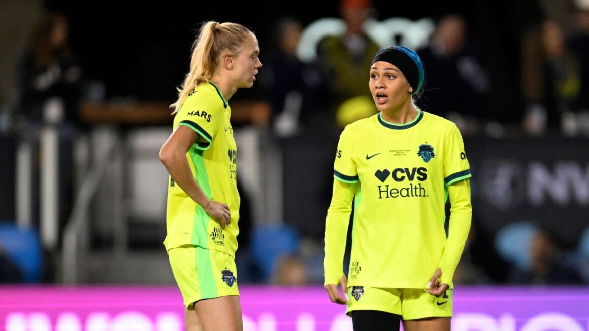 NWSL Approves Rodman…