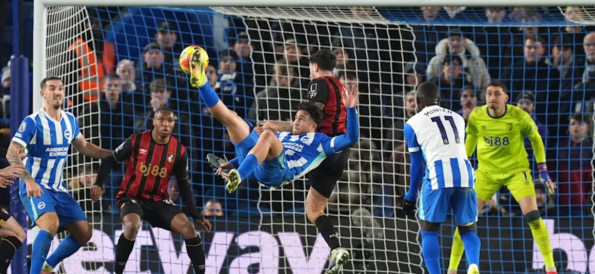 Brighton 1 Brighton 1