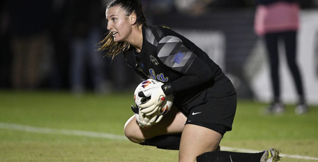 Bristol City Welcomes…