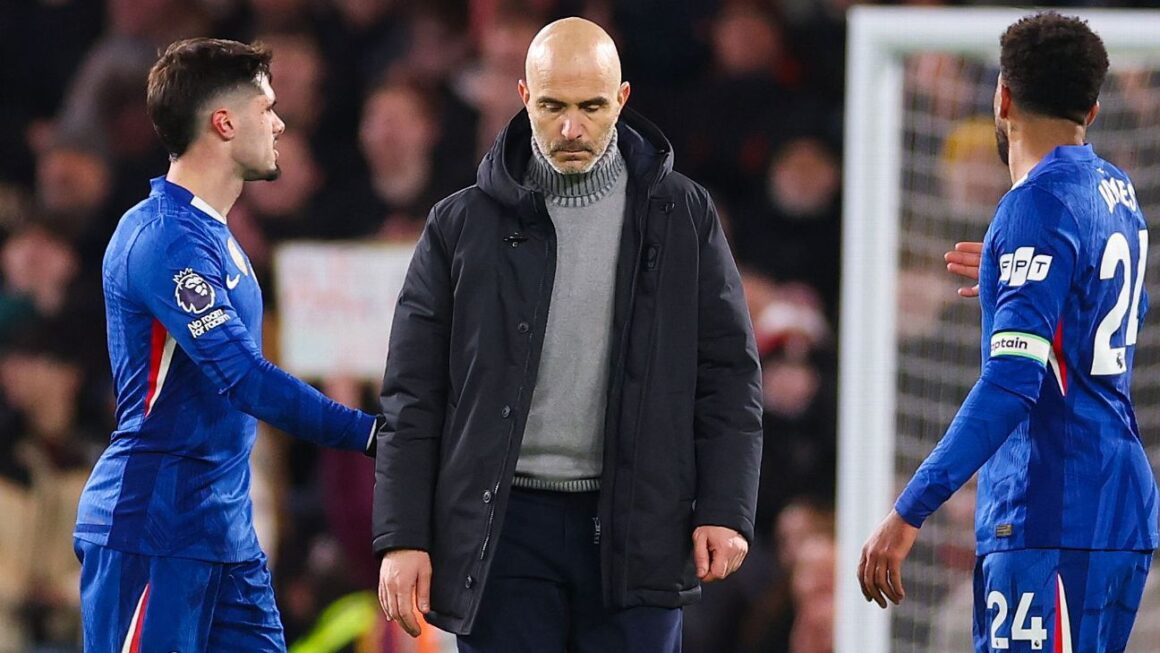 Marescas Chelsea Triumph:… Marescas Chelsea Triumph:…