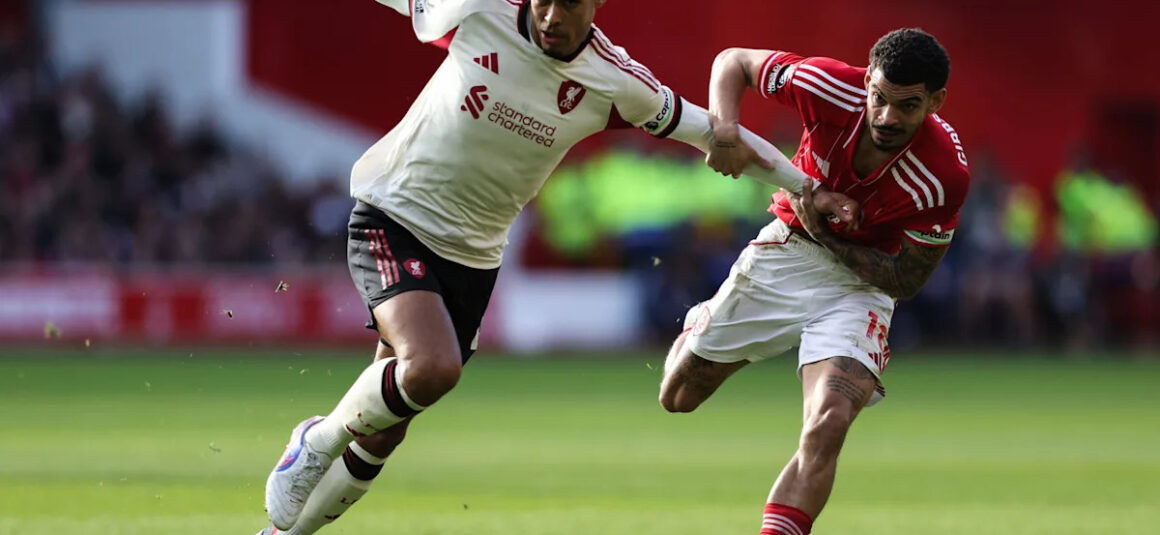 Imported Article – 2026-02-25 04:00:02