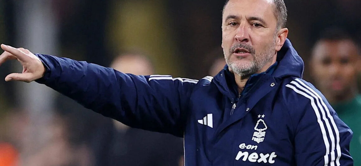 Forest enjoy perfect…