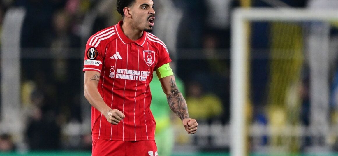 Forest show real… Forest show real…