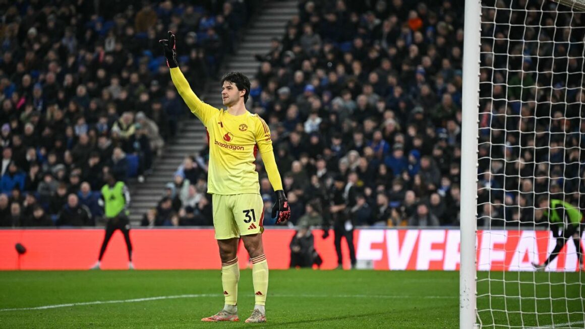 Lammens Calms Chaos as… Lammens Calms Chaos as…