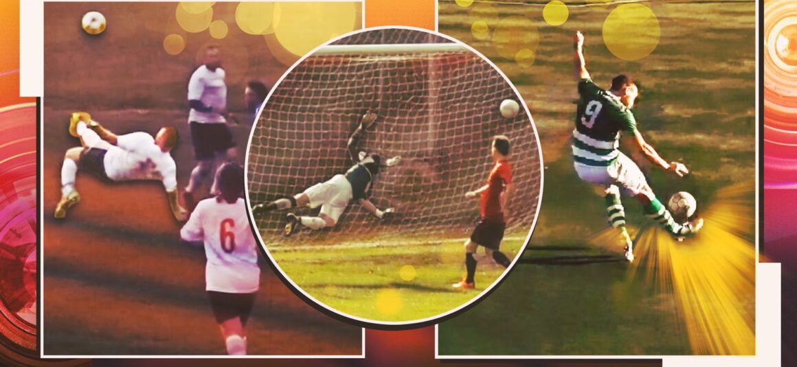 Who is the winner of the…