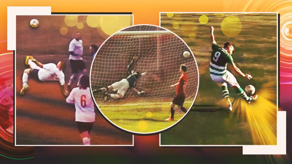 Who is the winner of the…