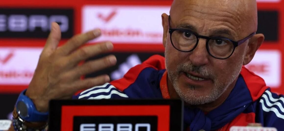 Spain manager Luis de la…