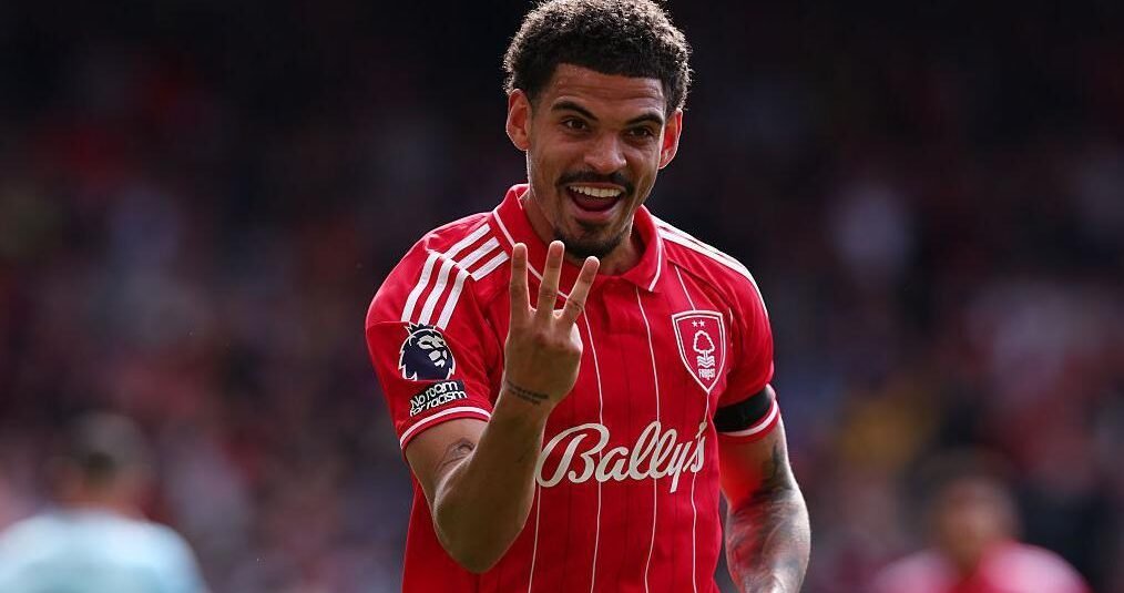 Forest Hero Gibbs Forest Hero Gibbs