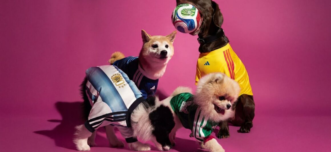 World Cup Jerseys for…