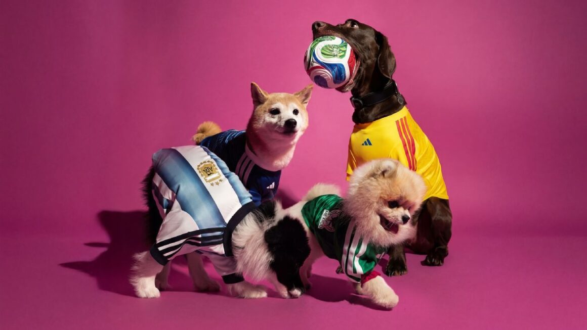 World Cup Jerseys for…