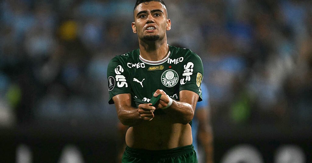 Palmeiras Director…