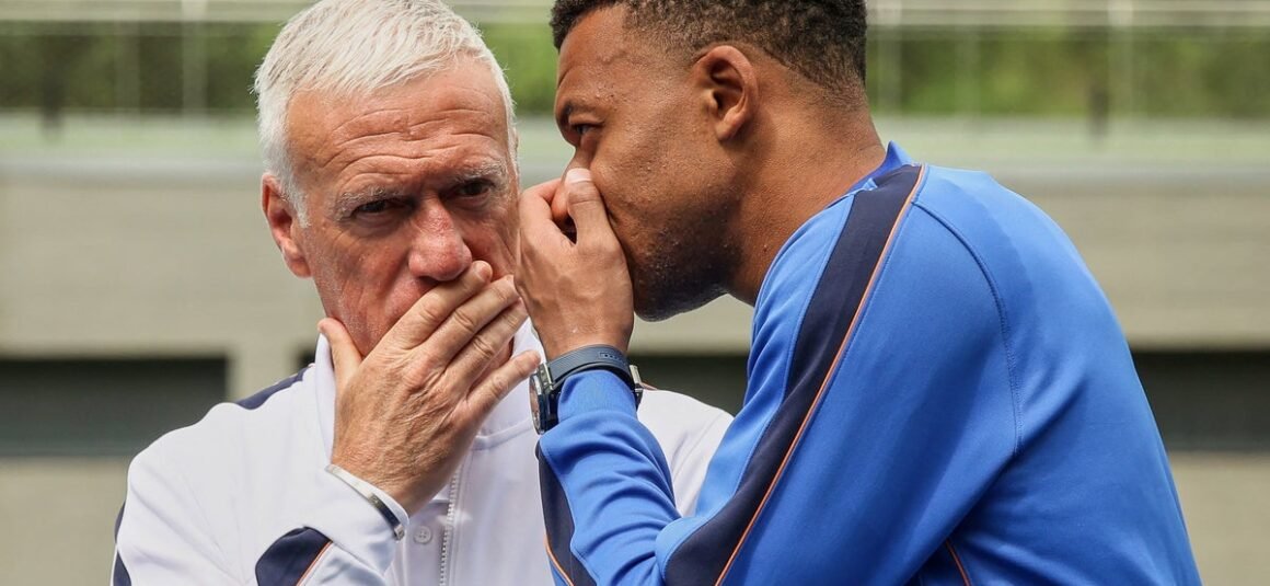 The France Enigma: Didier…