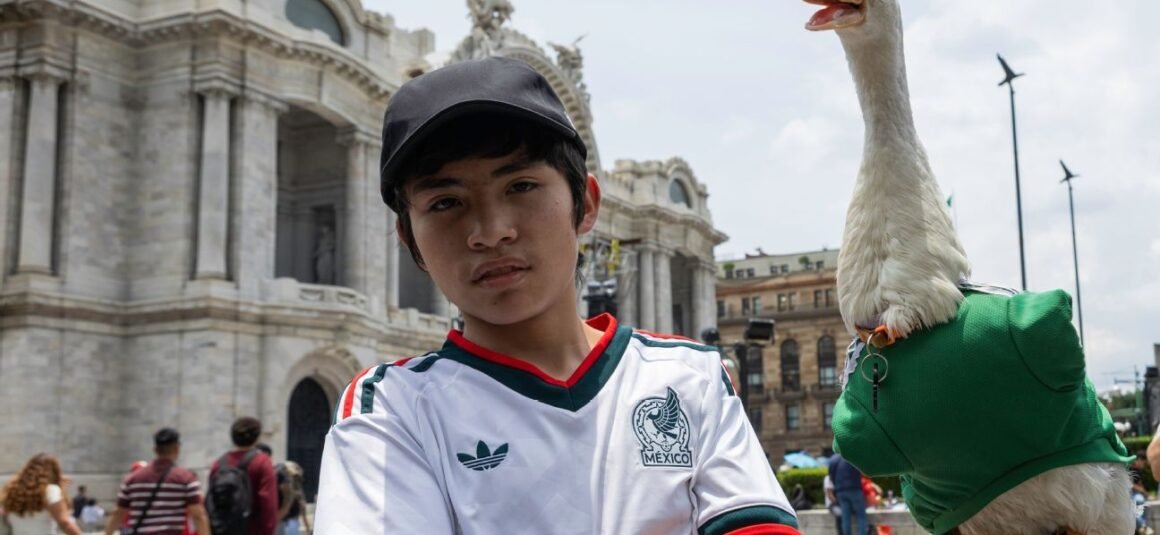 World Cups Best Viral…