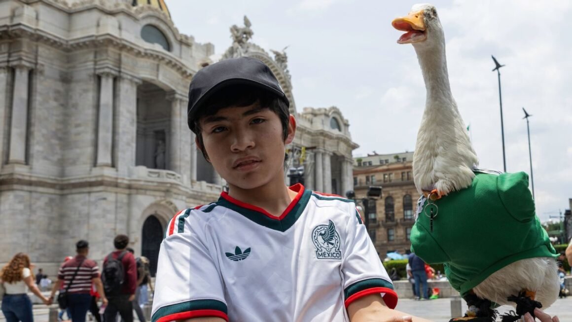 World Cups Best Viral… World Cups Best Viral…