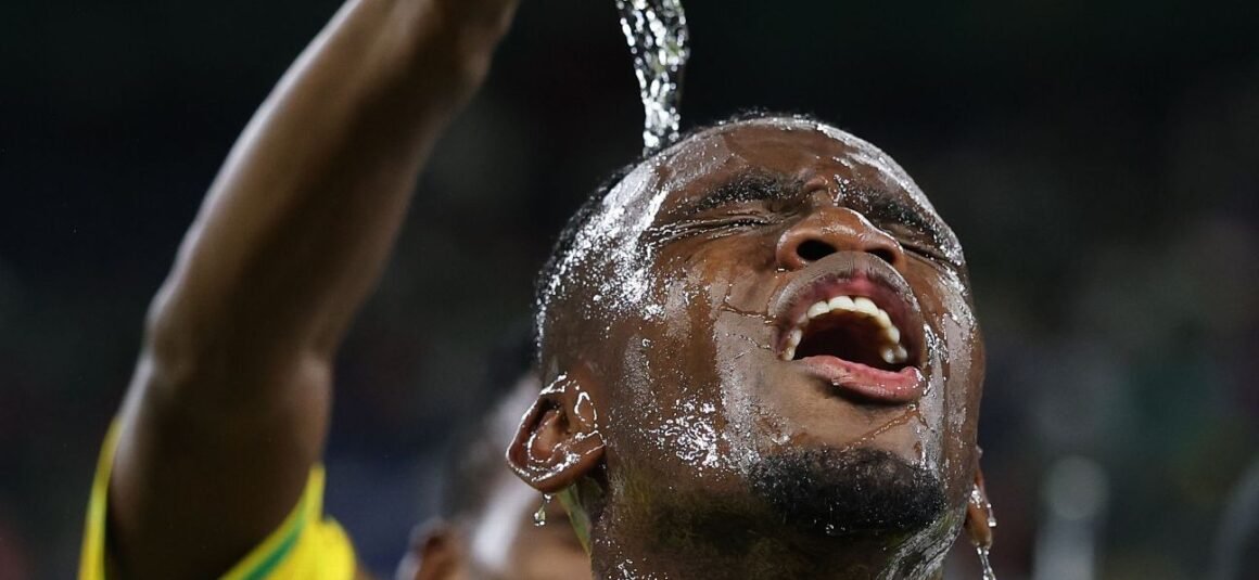 Sithole: The Embodiment of…