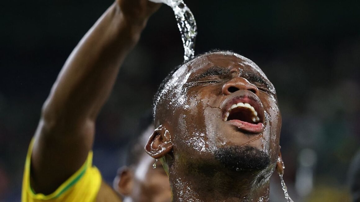 Sithole: The Embodiment of… Sithole: The Embodiment of…