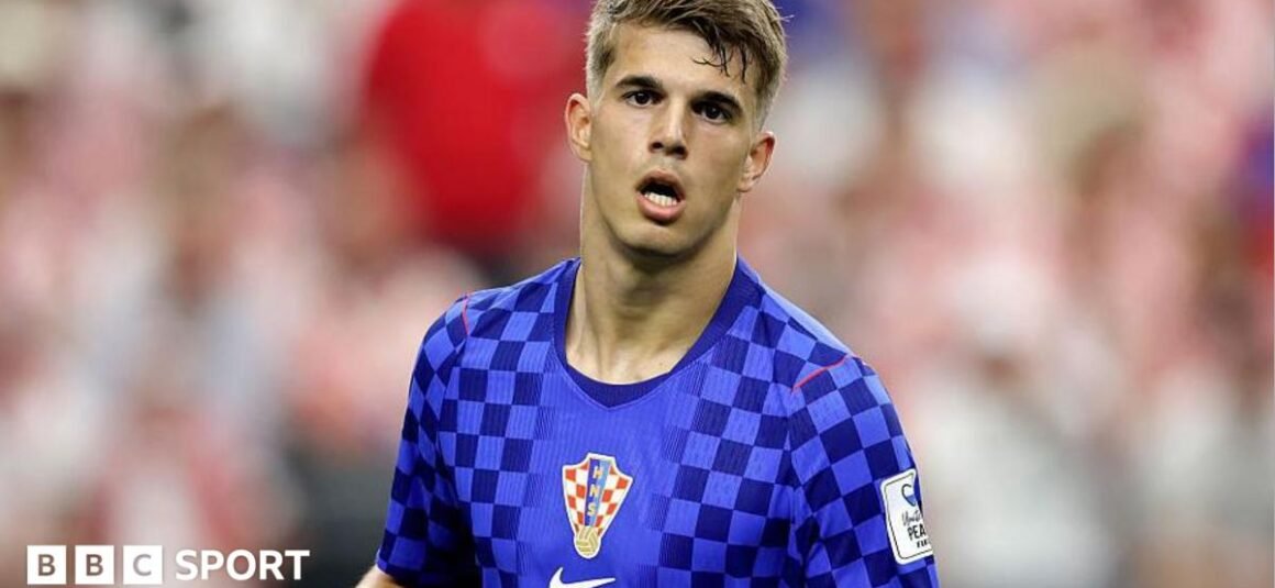Brighton sign Croatia… Brighton sign Croatia…