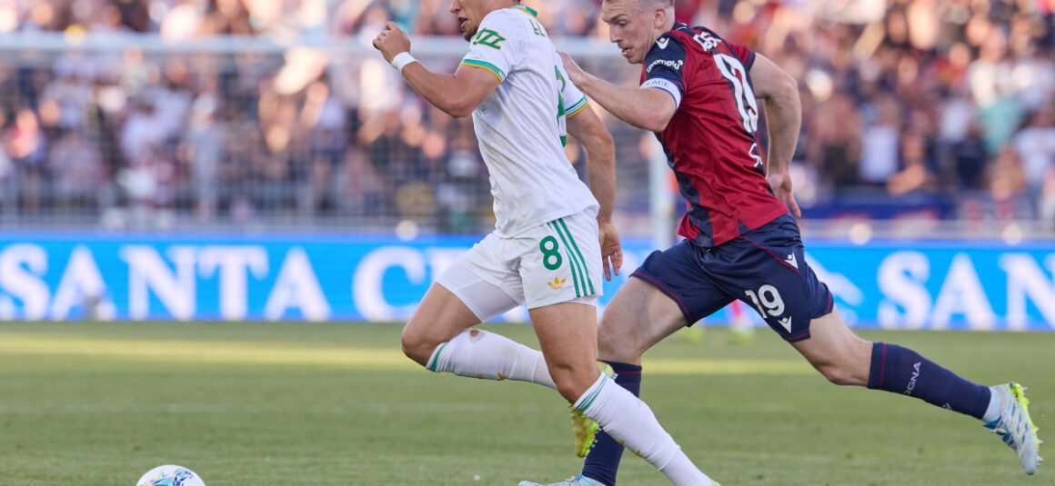 Romas El Aynaoui Attracts…