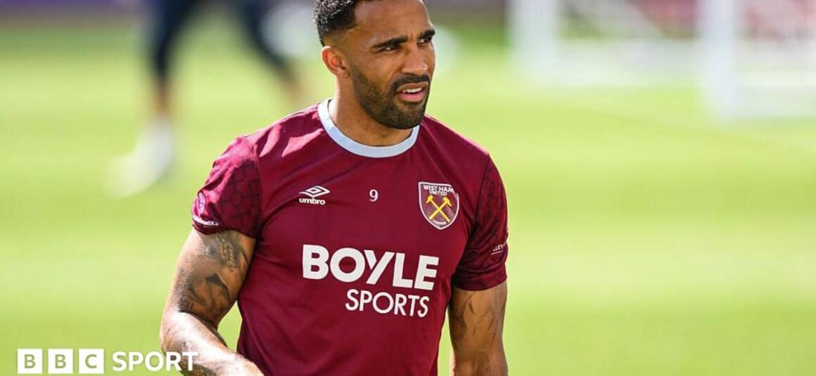 Bees land Callum Wilson… Bees land Callum Wilson…