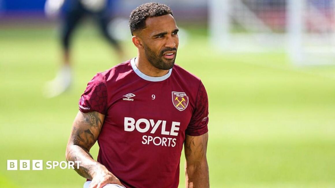 Bees land Callum Wilson… Bees land Callum Wilson…