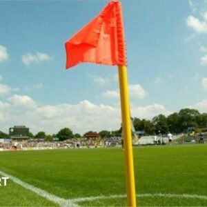 French female ref injured… French female ref injured…