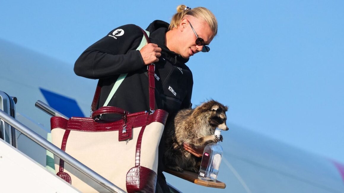 Haaland and Norway Receive… Haaland and Norway Receive…