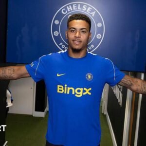 Inside the transfer…