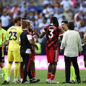 Fulham walk off as Malaga… Fulham walk off as Malaga…