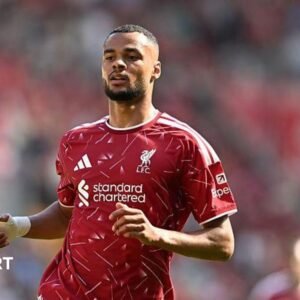 Why Tottenham Are… Why Tottenham Are…