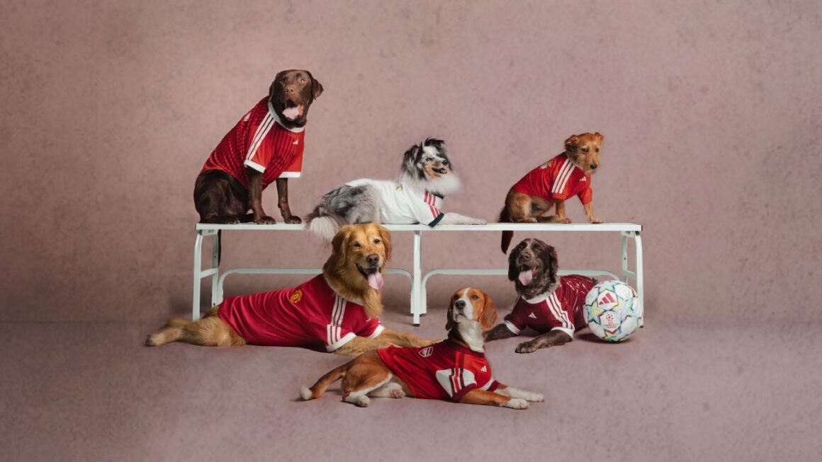 Paws on the Pitch: Adidas… Paws on the Pitch: Adidas…