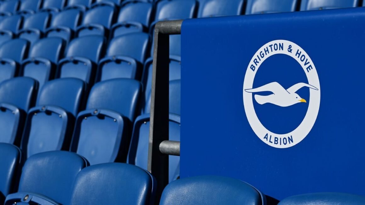 Brighton Provides Fan… Brighton Provides Fan…